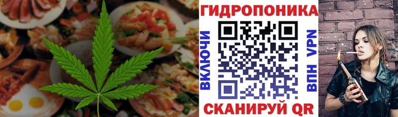 цена   Кунгур  hydra сайт  Canna-Cookies конопля 