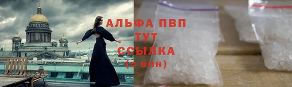 ECSTASY Баксан
