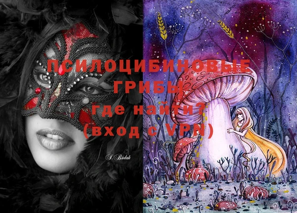 PSILOCYBIN Балахна
