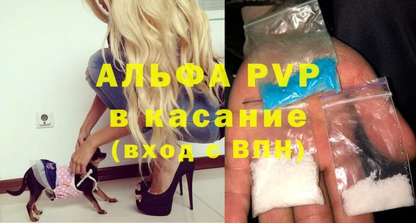 PSILOCYBIN Балахна