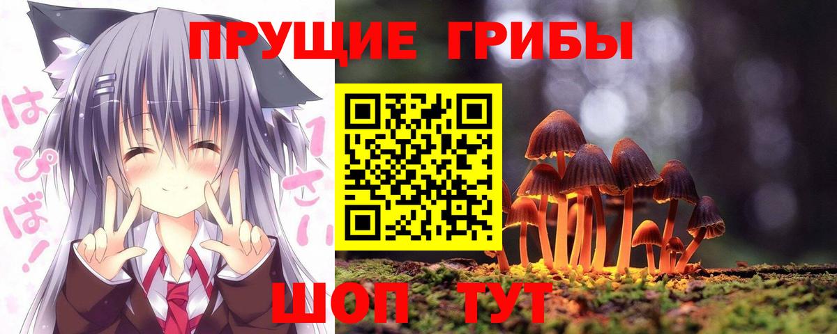 Кунгур  Галлюциногенные грибы прущие грибы  наркота  Вход с VPN 